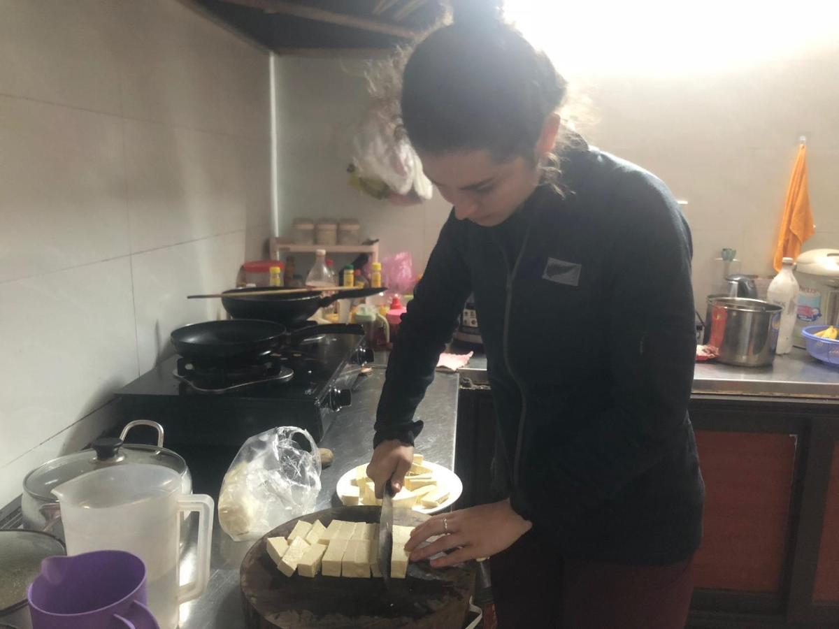 Tam Coc Full House Homestay ニンビン エクステリア 写真